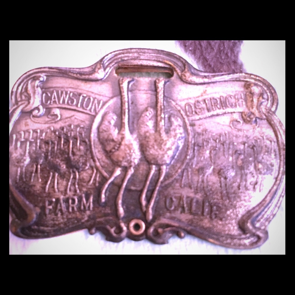 Vintage Rare Silver Ostrich Farm Nameplate Pendant